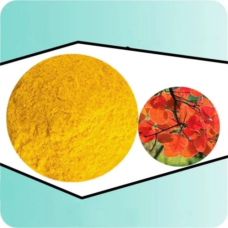 Fisetin 98% ,Cotinus Extract